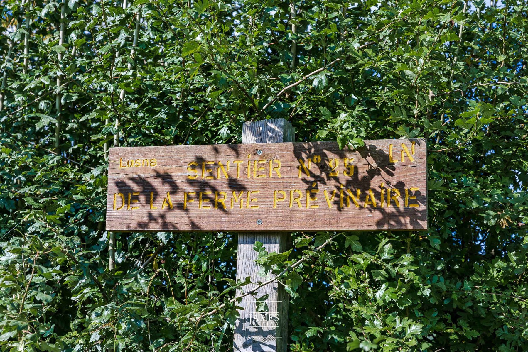 Une propriété sur 1,5 hectare option terrains constructibles - Image 2