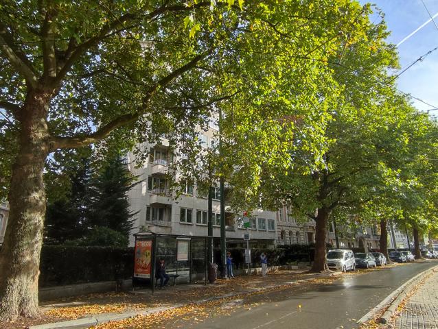 Flat - à louer - 1150 Woluwe-Saint-Pierre