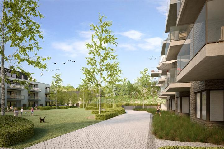 85cb641c04bd4f2bb3410468412e81ad