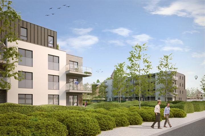 972e0ca02b914a32a7b4ca31a7606dcd