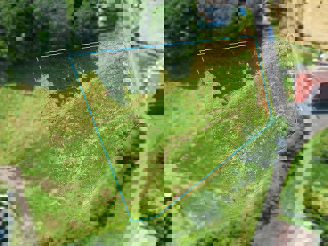 74d903da02b64407836696449da855e5