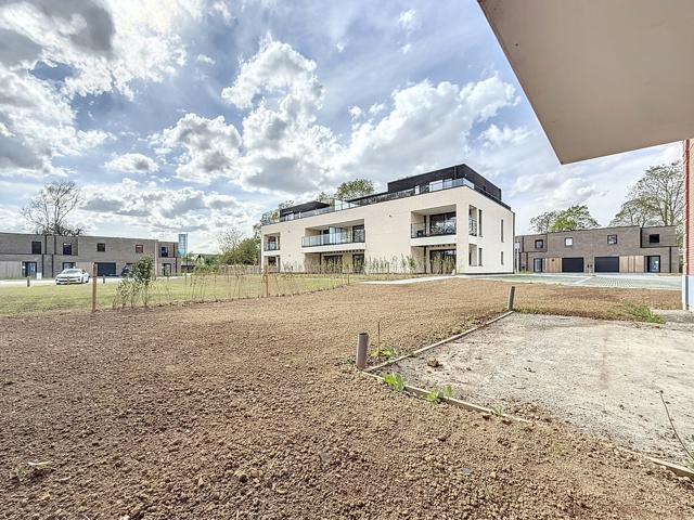 cfa1cab8fec343559df74848c18c4a47