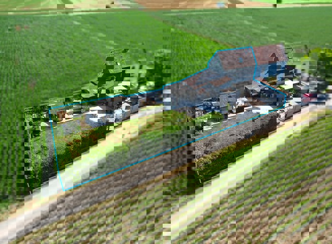 Maison 3 façades entourée de champs à Templeuve