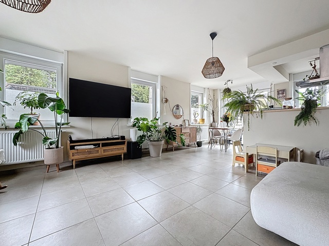 Maison à vendre à Molenbaix.