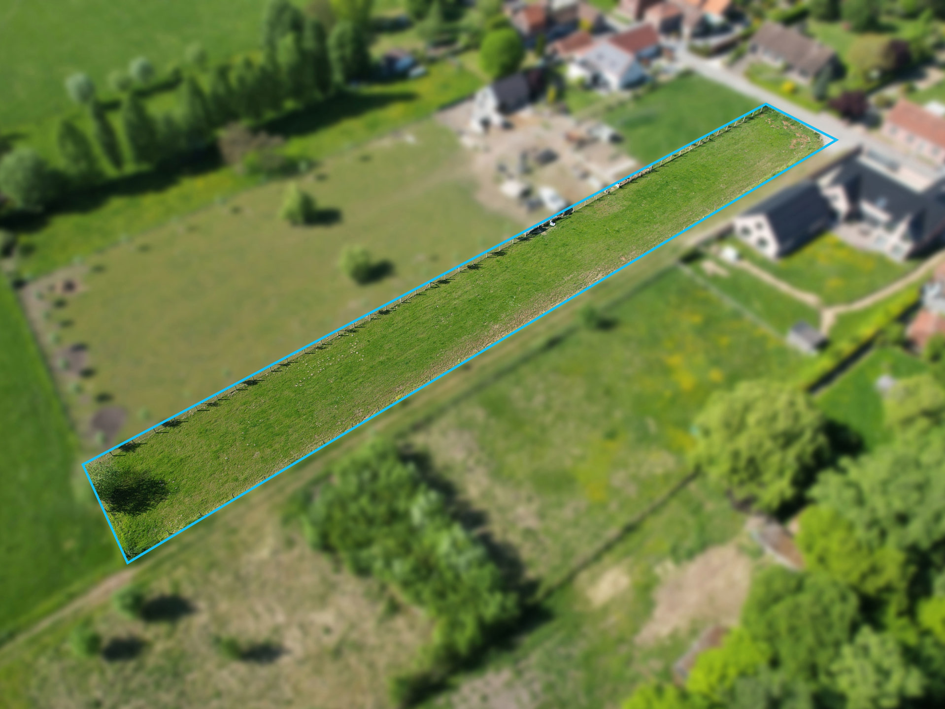 a46e1abe6a9d446e8b33b75e3981649b