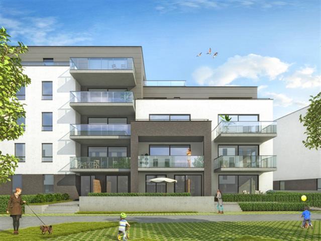 Rez-de-chaussée - à vendre - 7800 Ath