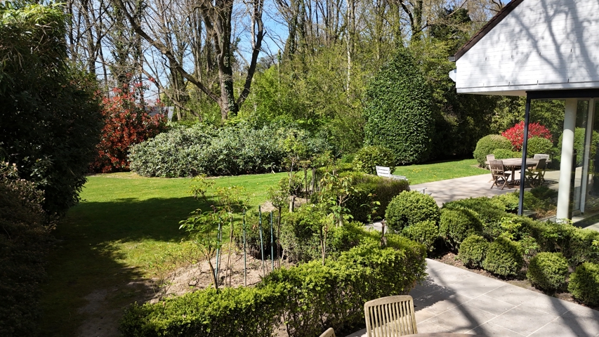 Villa - à vendre - 1640 Rhode-Saint-Genèse