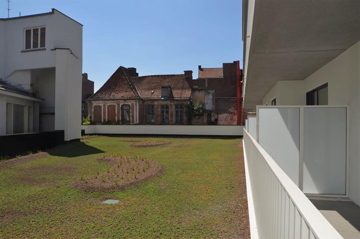 PictureReference:[23893]