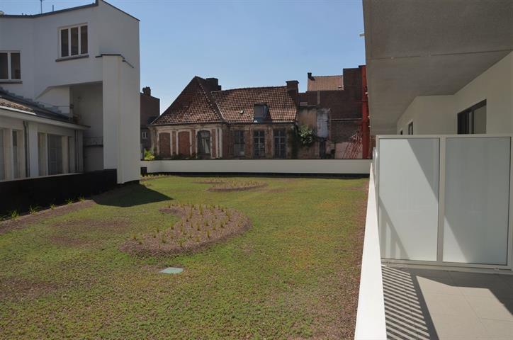 PictureReference:[23892]