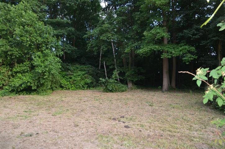 PictureReference:[12215]