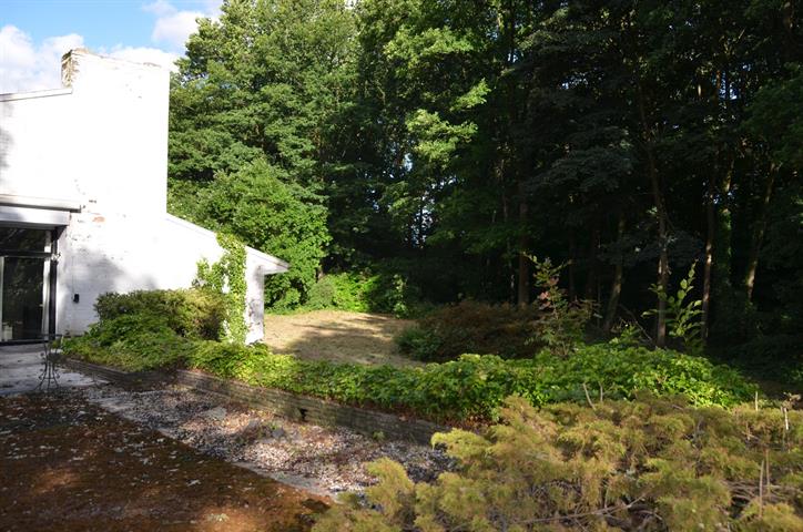PictureReference:[12222]