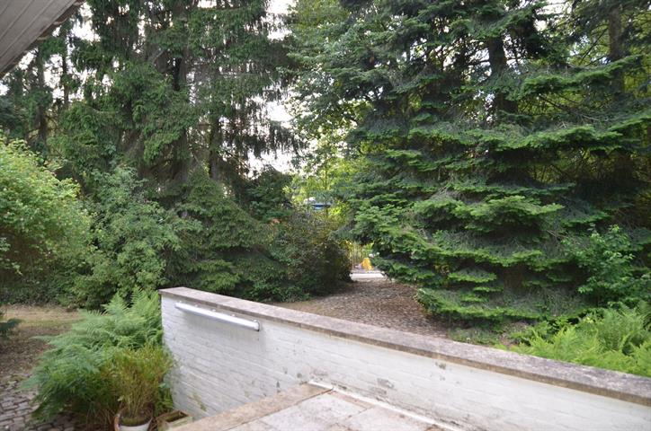 PictureReference:[12188]