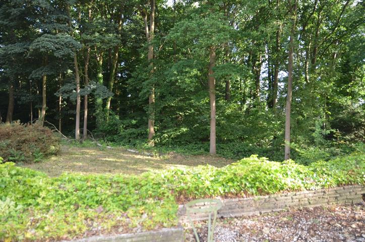 PictureReference:[12221]
