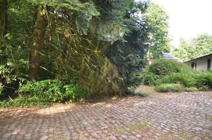 PictureReference:[12186]