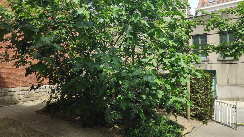 PictureReference:[24372]
