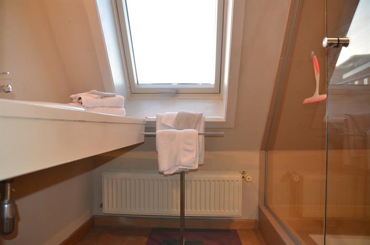 PictureReference:[22077]