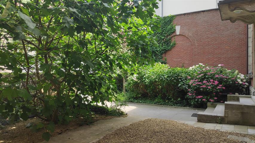 PictureReference:[24360]