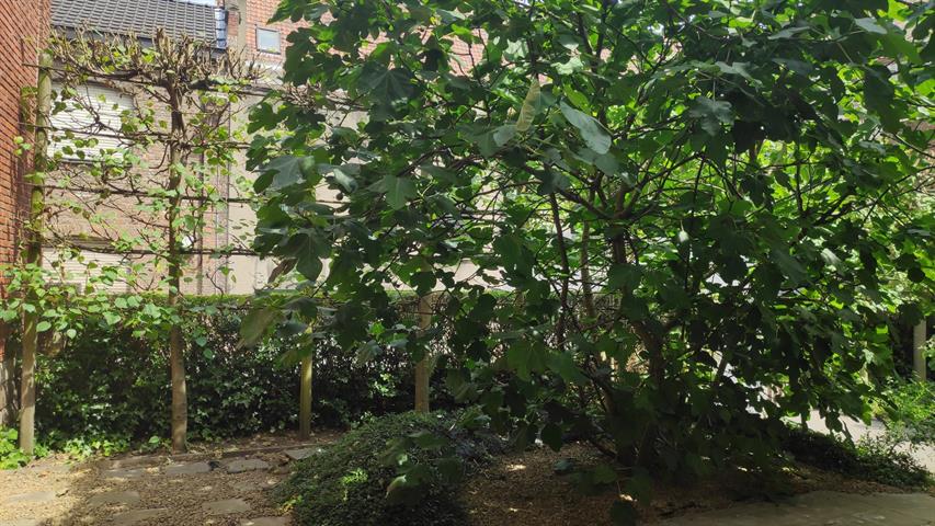 PictureReference:[24358]