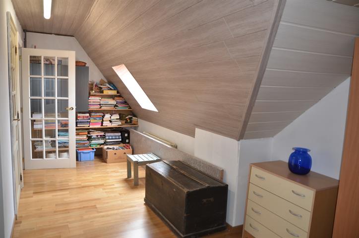 PictureReference:[25268]