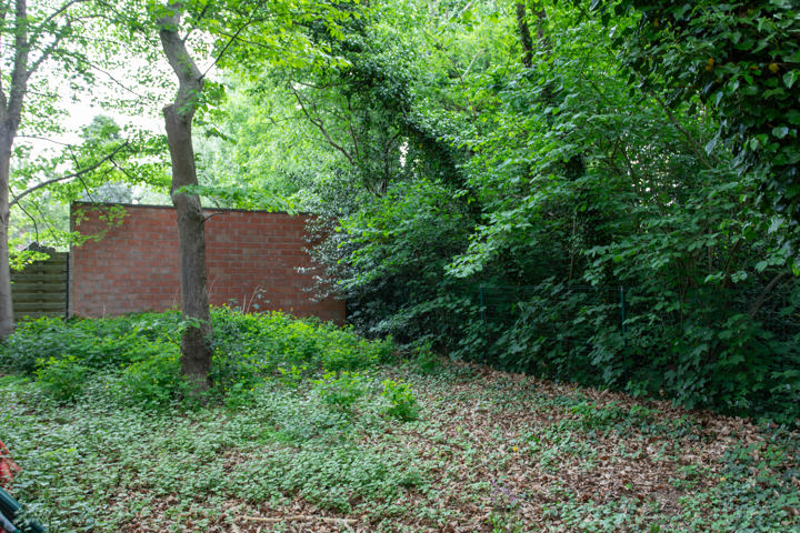 Grond te koop in Wuustwezel