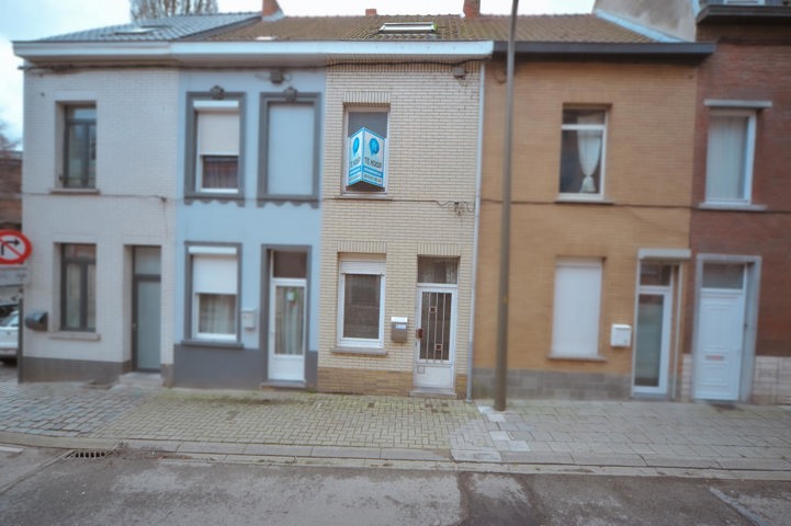 2024-WS-141 Meiboom 31 - Halle