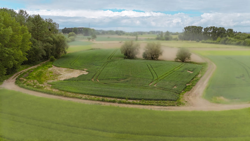 2025-WS-087 - Bekkersveld + Beschermsveld - Sint-Pieters-Leeuw
