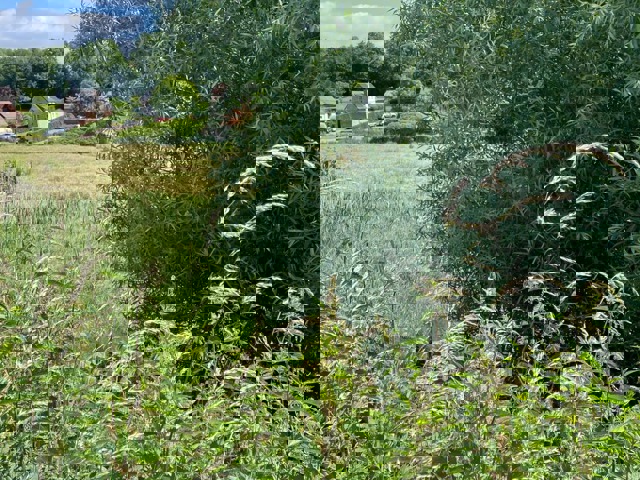 Bouwgrond - te koop - 3040 Huldenberg