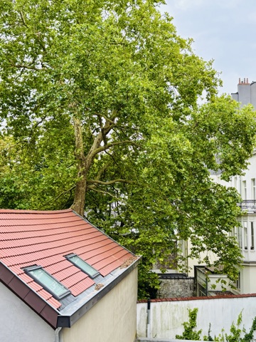 Flat - for sale - 1060 Saint-Gilles