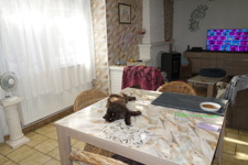 Photo Ozmos