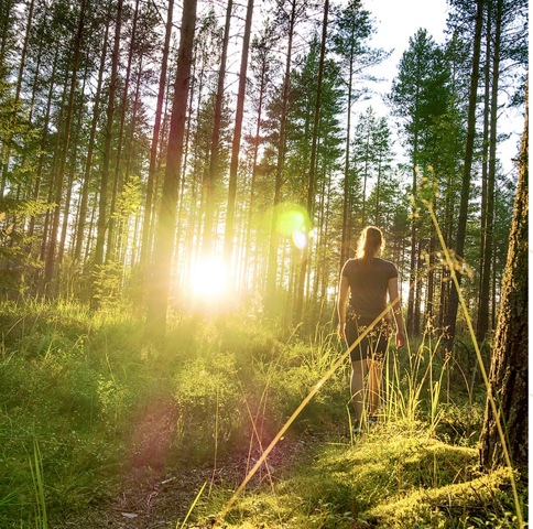 Rez-de-chaussée - à vendre - 1170 Watermael-Boitsfort