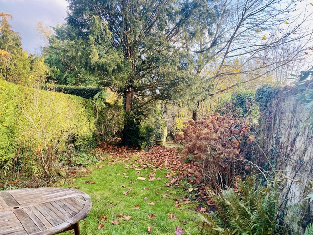 Maison de maître - à vendre - 1180 Uccle