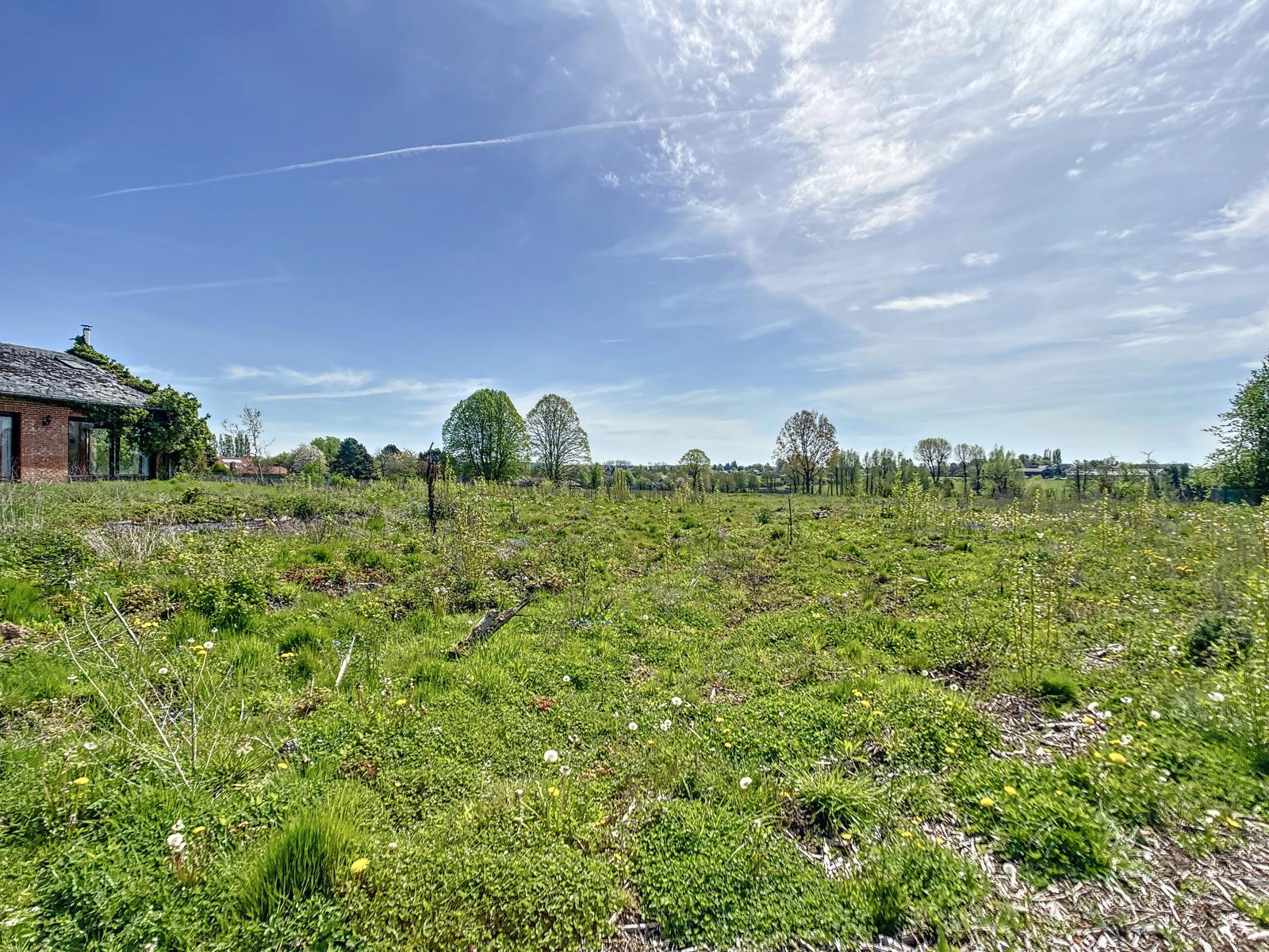 Service Immobilier