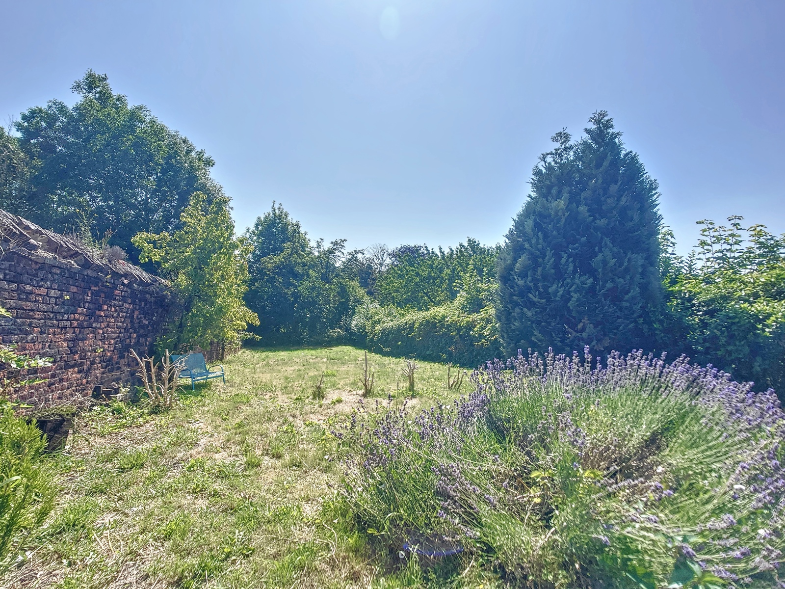 Service Immobilier