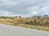 Service Immobilier