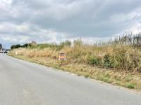 Service Immobilier