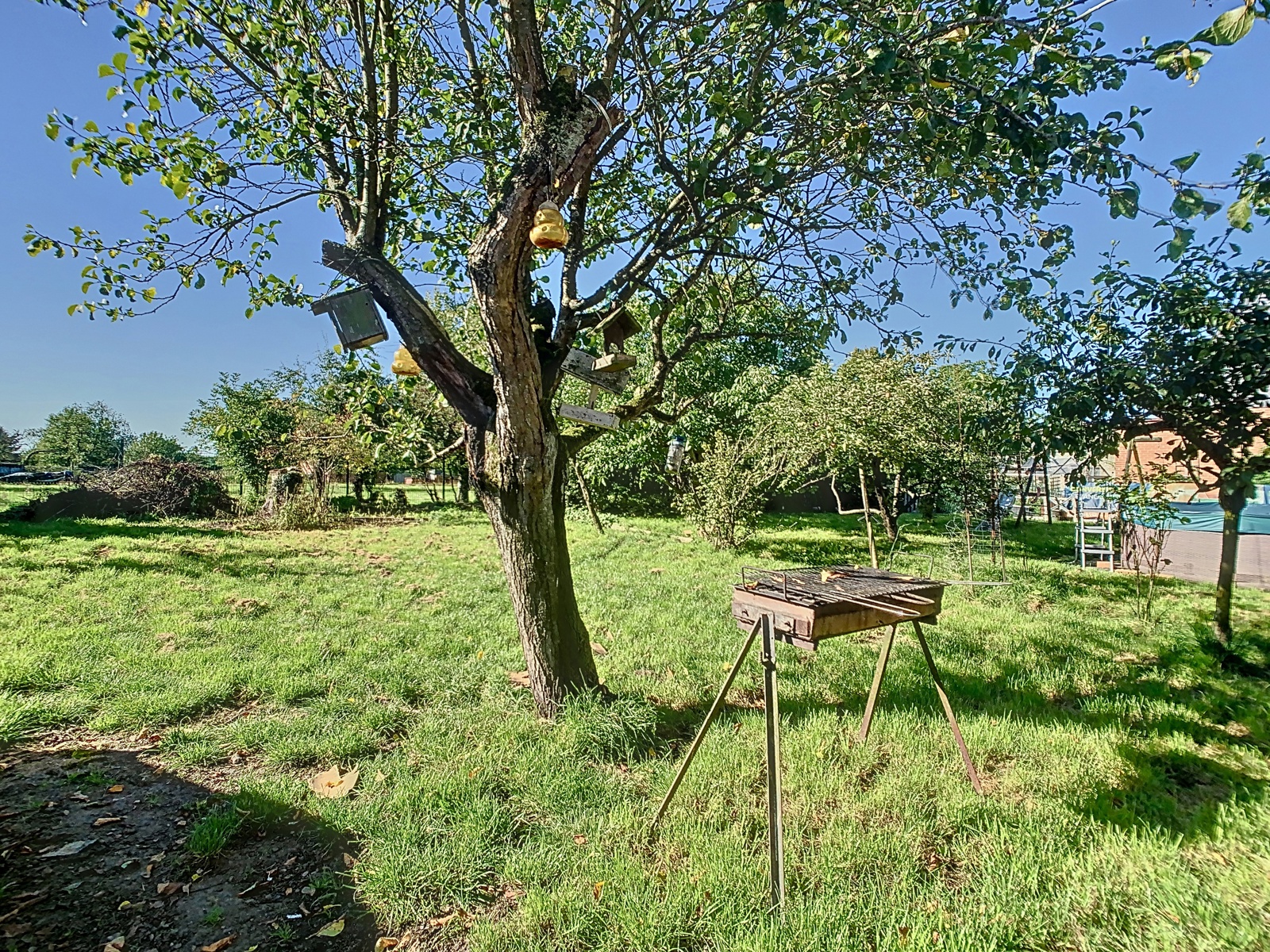 Service Immobilier