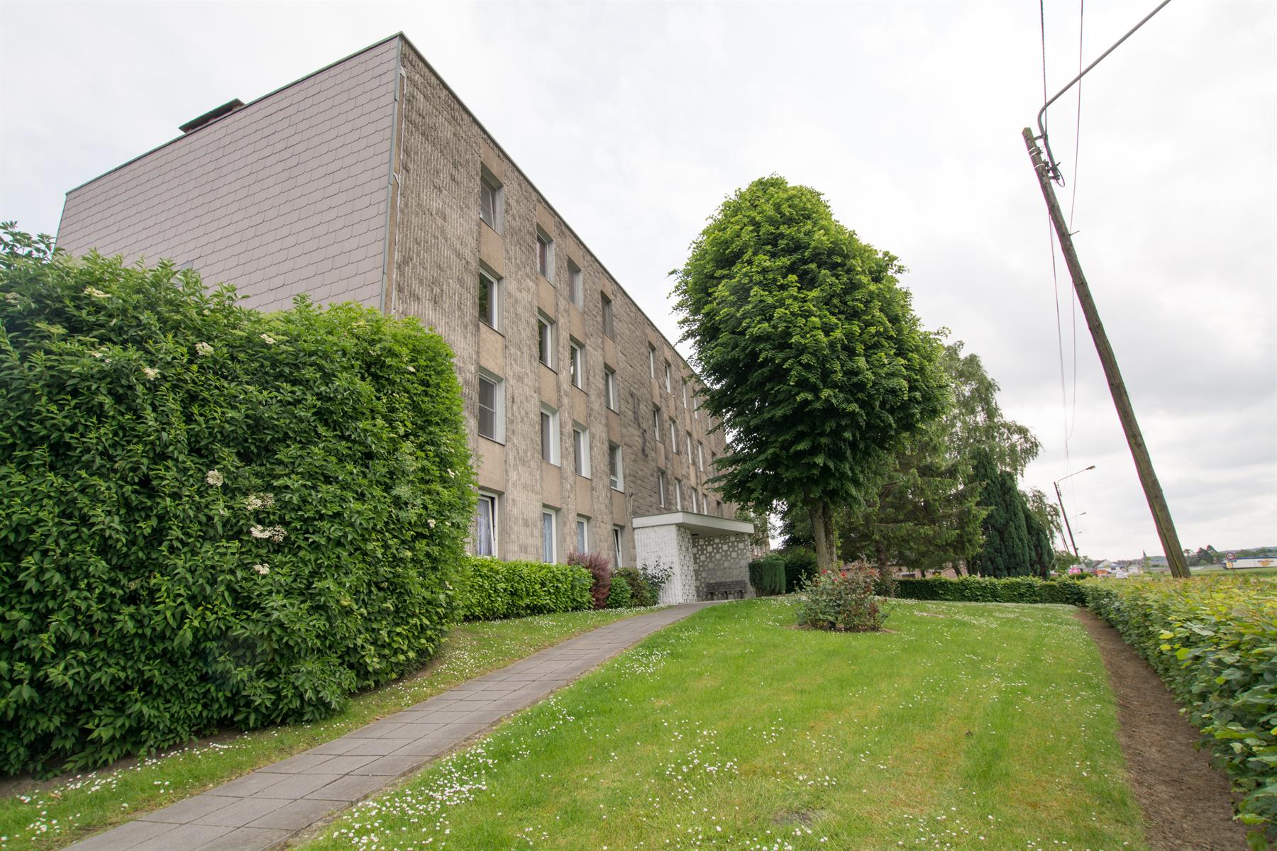 Service Immobilier