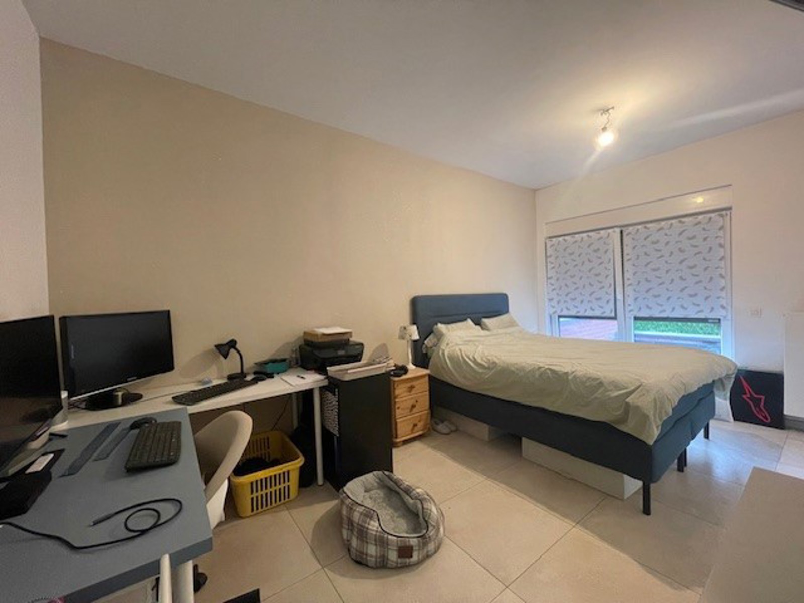 Service Immobilier