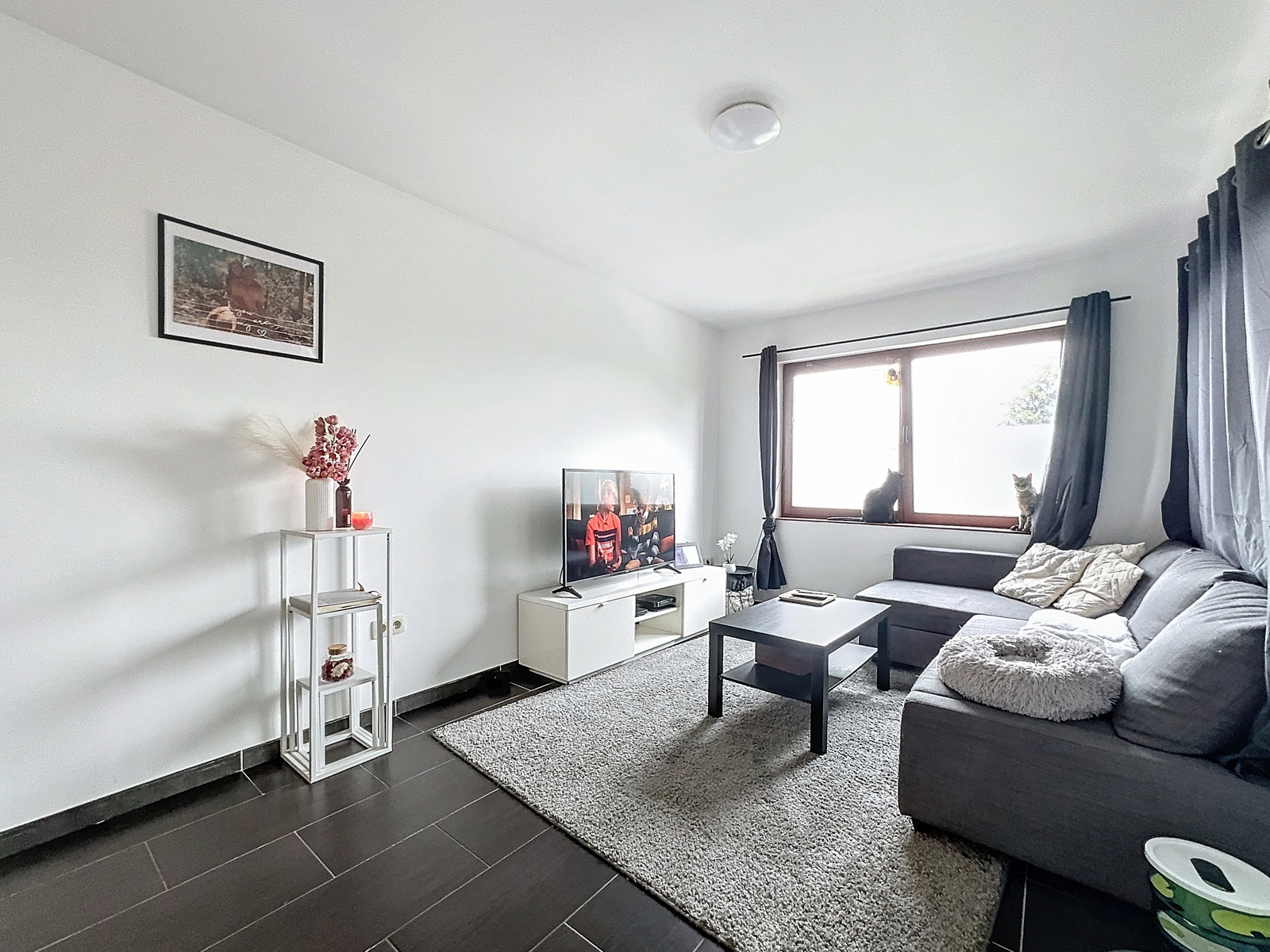 Service Immobilier