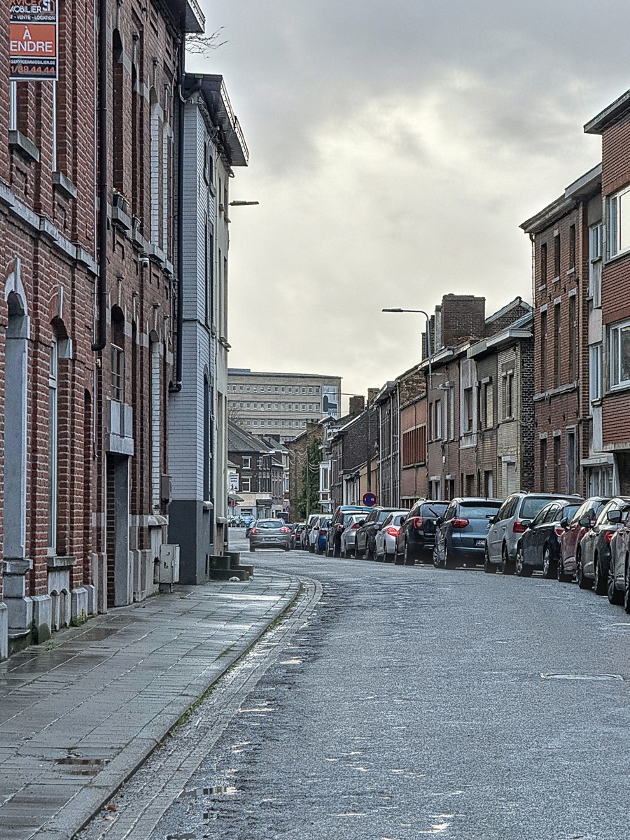 Service Immobilier