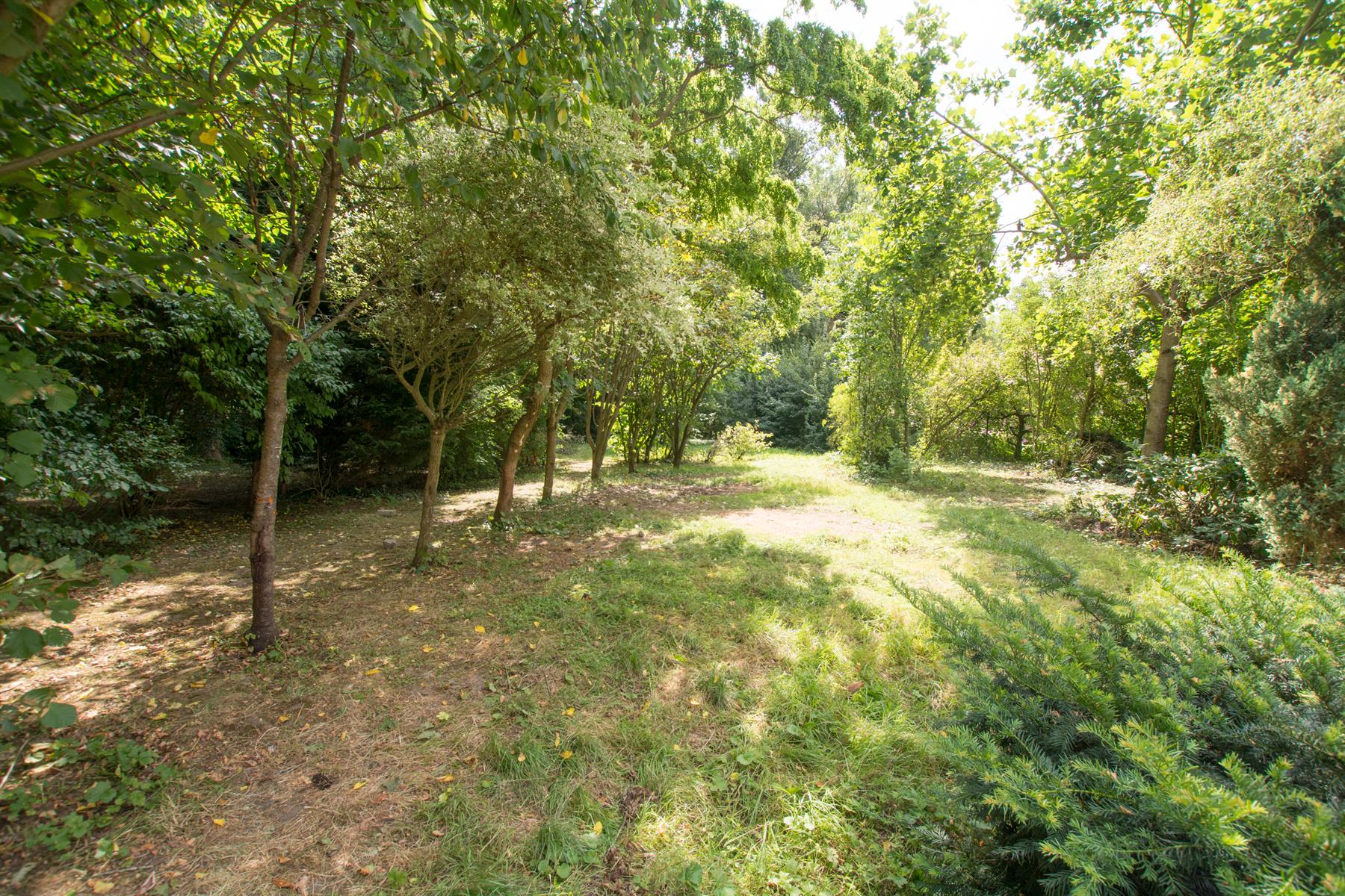 Service Immobilier