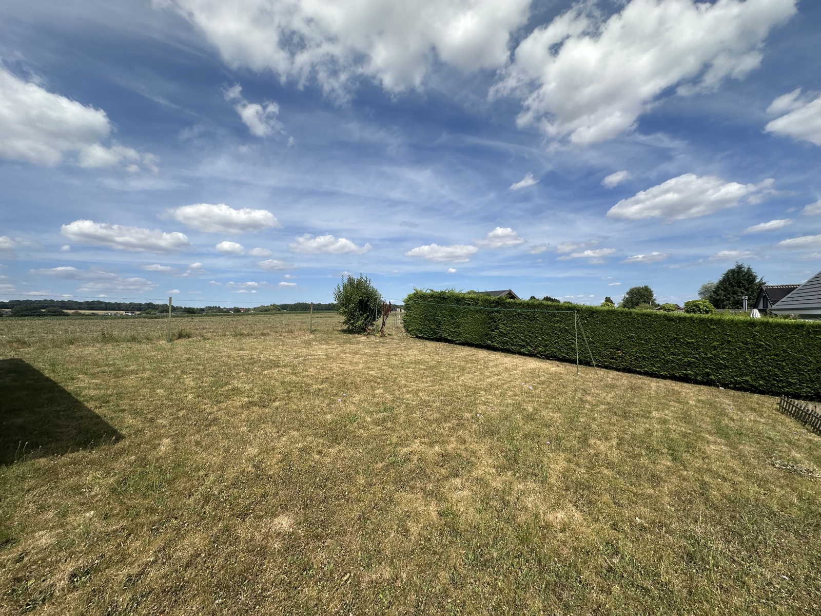Service Immobilier