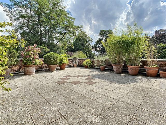 Triplex - for rent - 1190 Forest