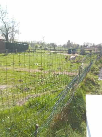A vendre beau terrain vierge � b�tir.