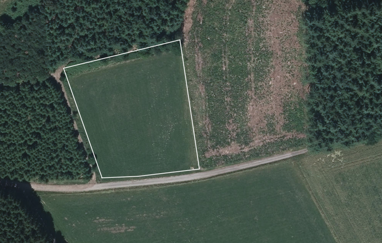 Terrain agricole - à vendre - 6670 Gouvy (Cherain)