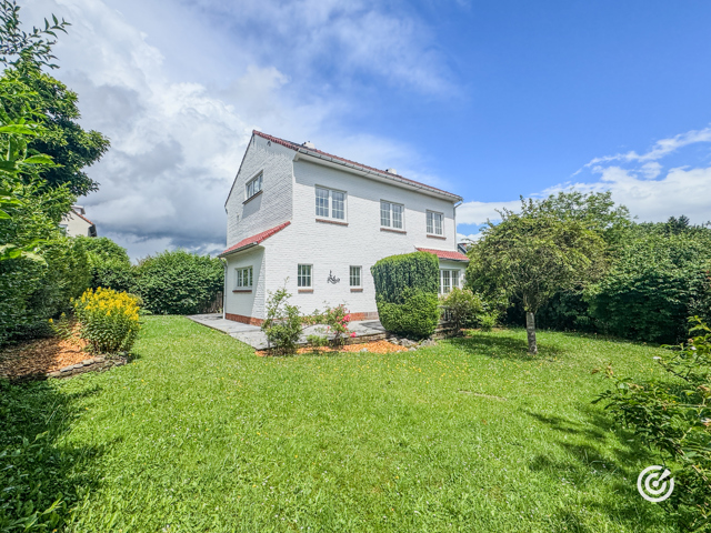 Villa - à vendre - 1640 Rhode-Saint-Genèse