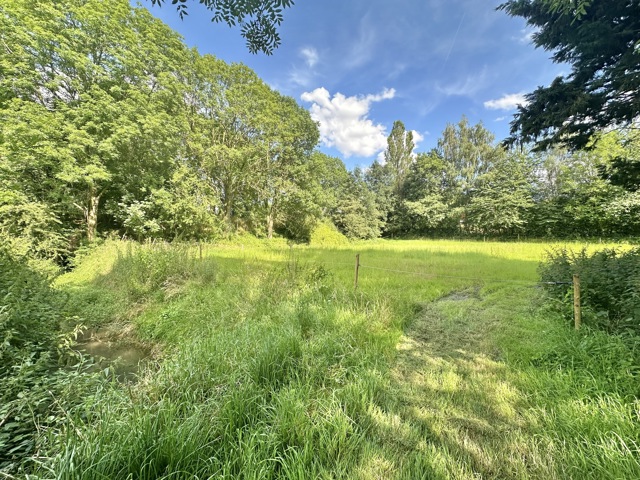 Terrain - à vendre - 1367 Ramillies