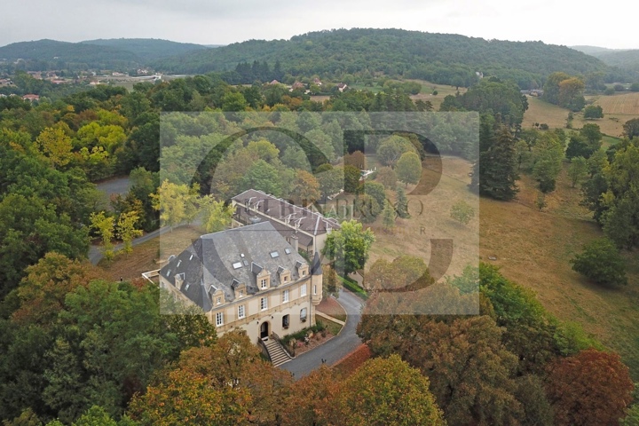 Château - À vendre - 24290 Montignac Lascaux