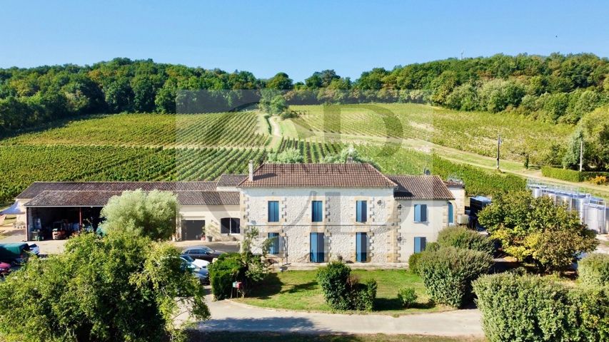 Castle - for sale - 33220 ste foy la grande