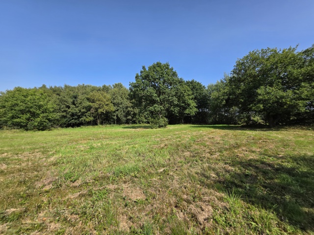 Terrain à bâtir - à vendre - 4190 Ferrières Werbomont